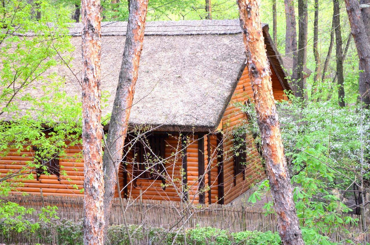 Chumatskiy Shlyah Romankiv エクステリア 写真
